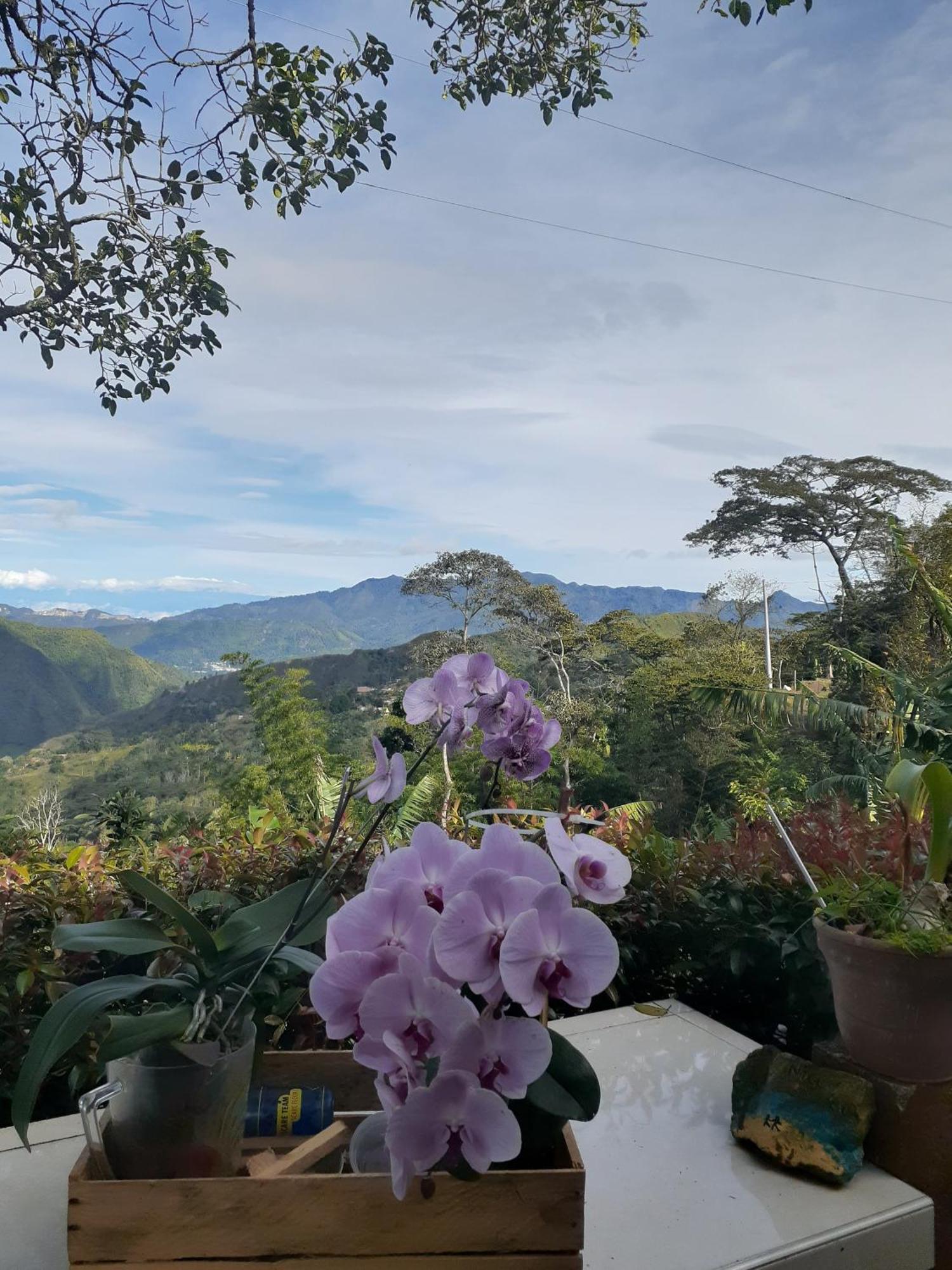 Casa finca El Girasol Villa Guayabal de Síquima Exterior foto